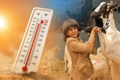 The weather will remain hot and humid across the country on Eid-ul-Adha, the Meteorological Department has predicted.