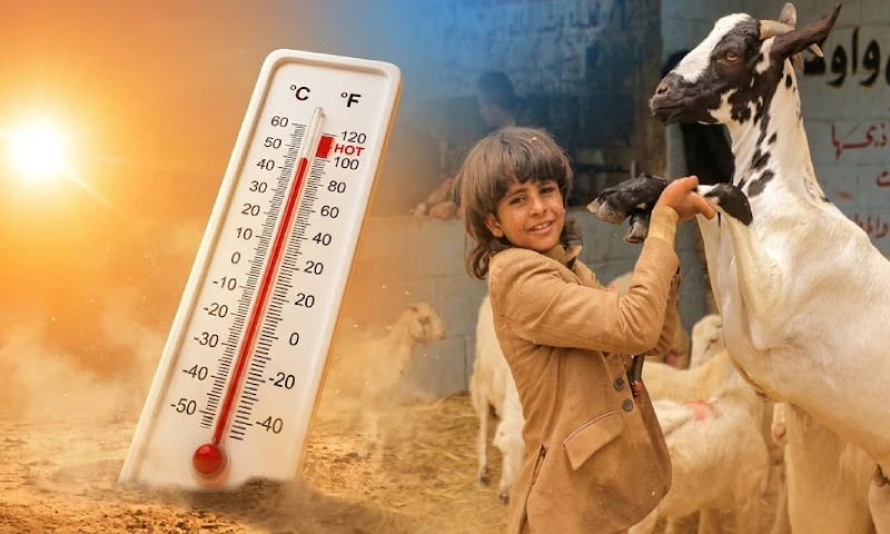 The weather will remain hot and humid across the country on Eid-ul-Adha, the Meteorological Department has predicted.