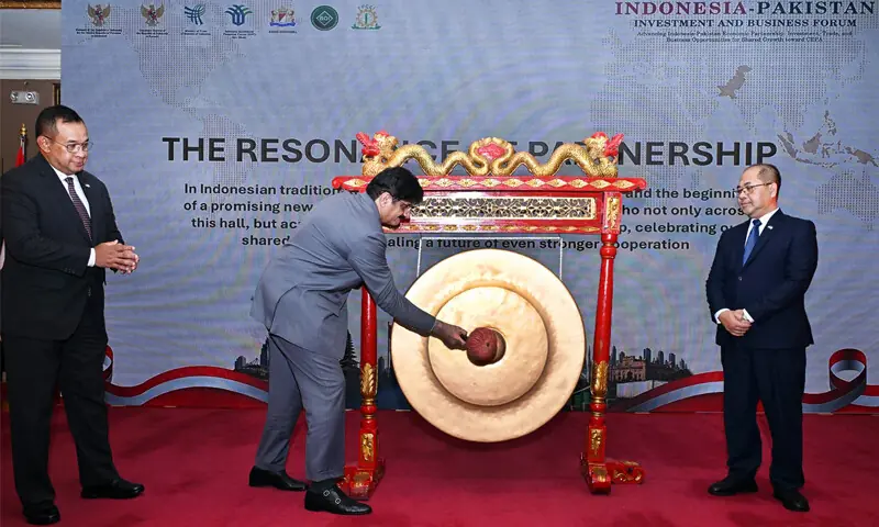 Sindh Chief Minister Murad Ali Shah invites Indonesian investors to invest
