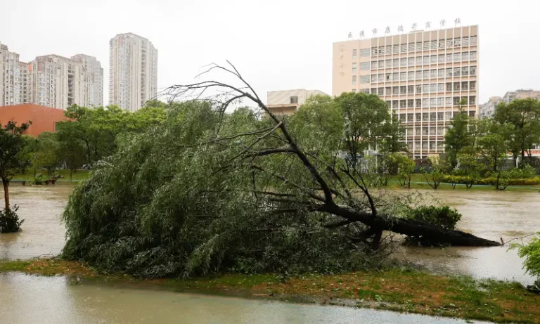 Typhoon Bavi weakens to tropical storm as it hits China coast